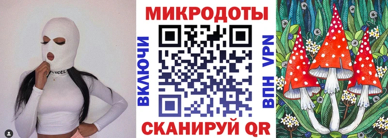 Псилоцибиновые грибы Psilocybe  как найти наркотики  Тбилисская 