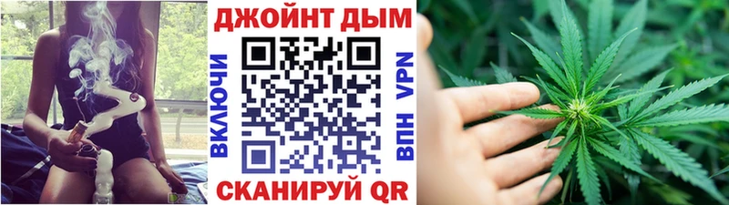 Конопля гибрид  Тбилисская 